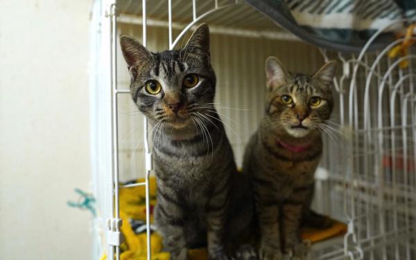 一色みずいろ 1