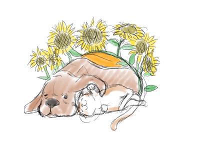 いのちのはうす保護家